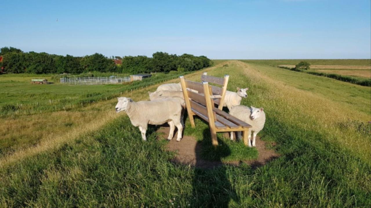 Deichgraf - Hedwig Meine Perle Hedwigenkoog Bagian luar foto